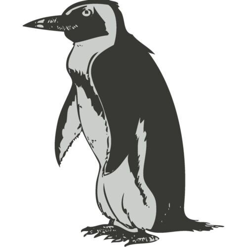 Bird   penguin 2 Thumbnail