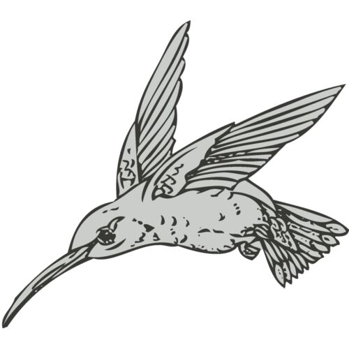 Bird   Hummingbird Thumbnail