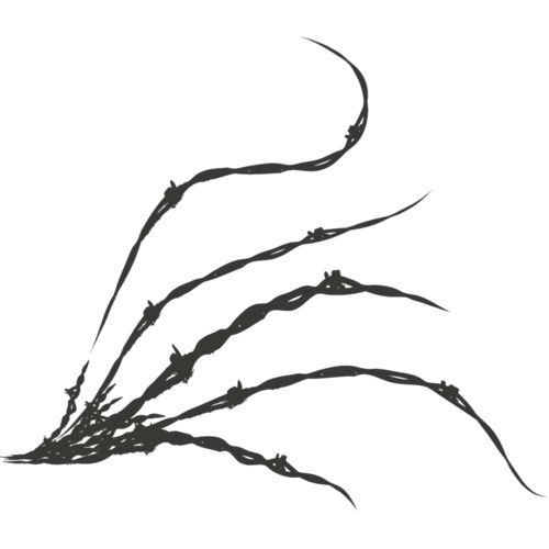 Barbed Wire 64 Thumbnail