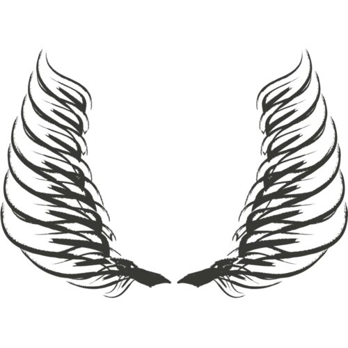 Charcoal Wing 39 Thumbnail