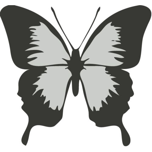 Bird   Butterfly Thumbnail