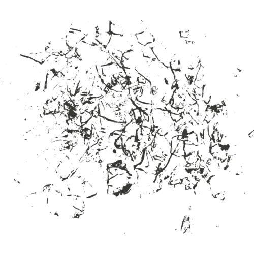 Bullet hole 106 Thumbnail