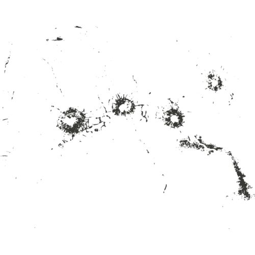 Bullet hole 114 Thumbnail