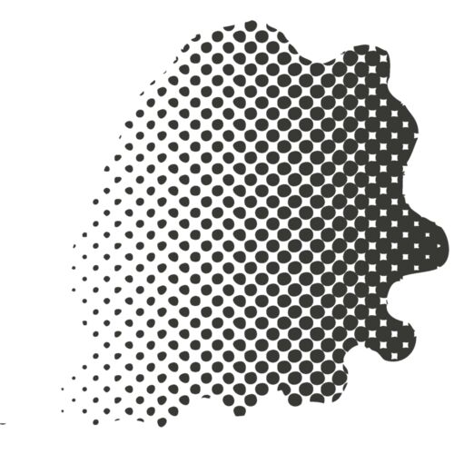 Nets and Splats 2 Thumbnail