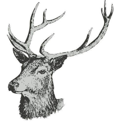 Animals   Deer 2 Thumbnail