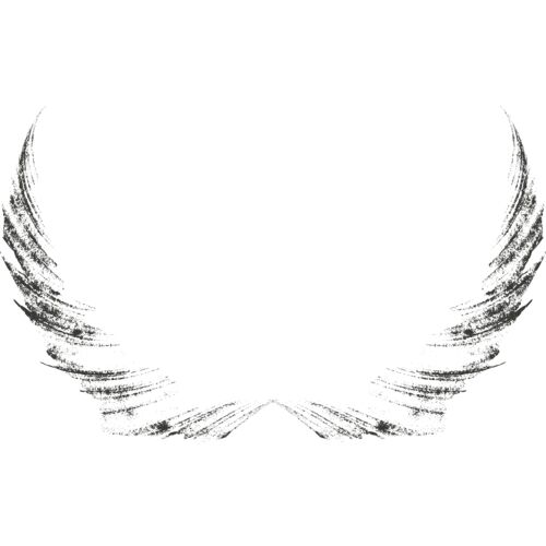 Charcoal Wing 1 Thumbnail