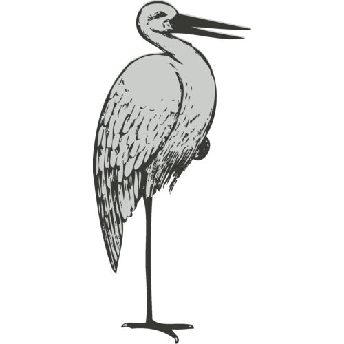 Bird   Stork 2 Thumbnail