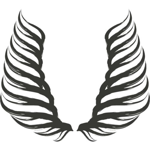 Charcoal Wing 41 Thumbnail