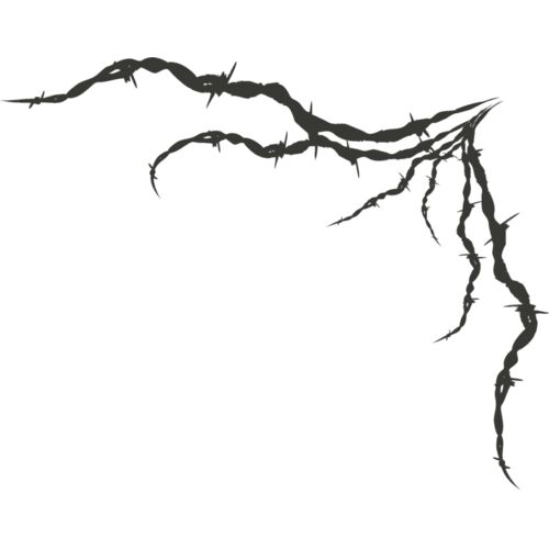 Barbed Wire 45 Thumbnail