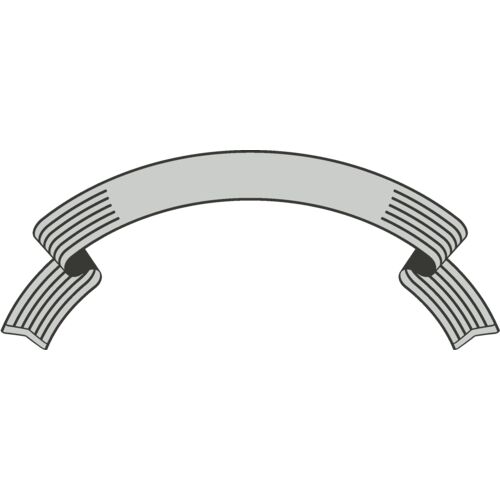 Clean Banner 145 Thumbnail