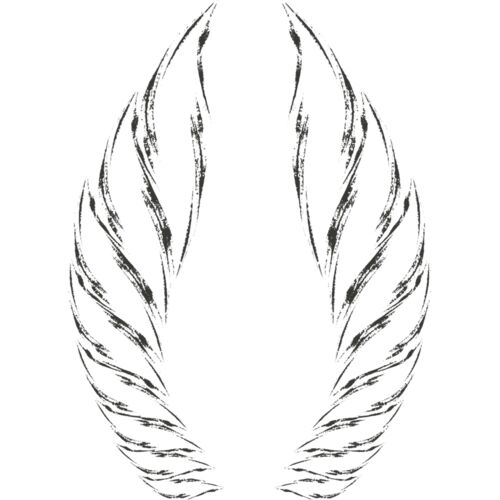 Charcoal Wing 52 Thumbnail