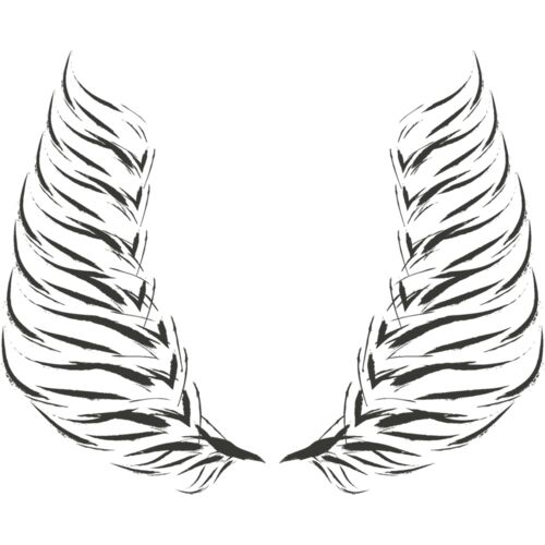 Charcoal Wing 34 Thumbnail