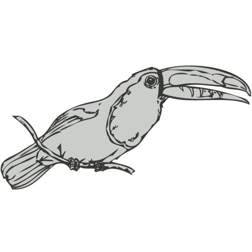 Bird   Toucan Thumbnail