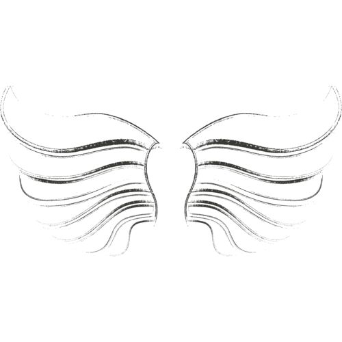 Charcoal Wing 45 Thumbnail