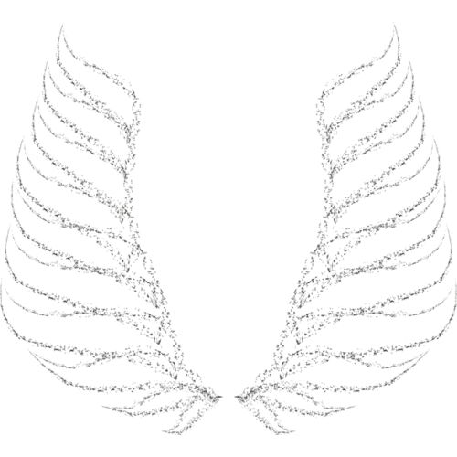 Charcoal Wing 33 Thumbnail