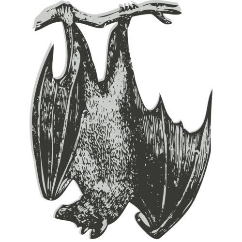 Animals   Bat Thumbnail