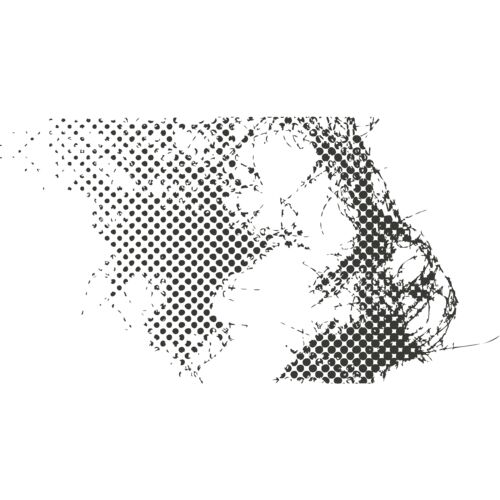 Distressed Halftones Grungy Frames 2 Thumbnail