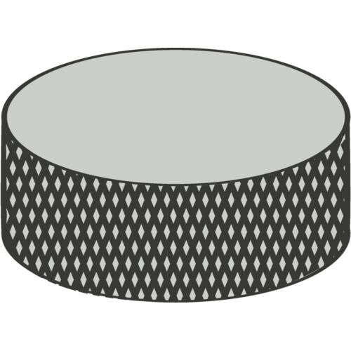 Hockey Puck 1 Thumbnail