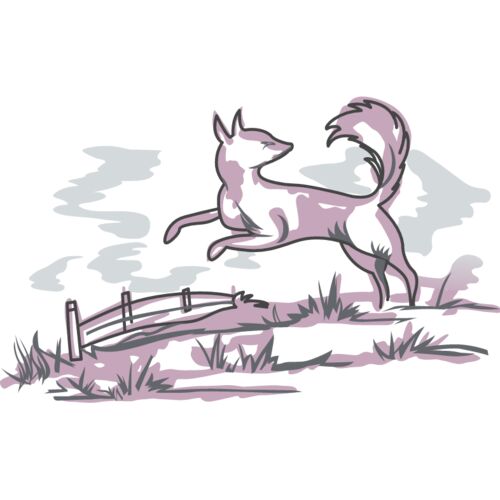 PG63653 Thumbnail