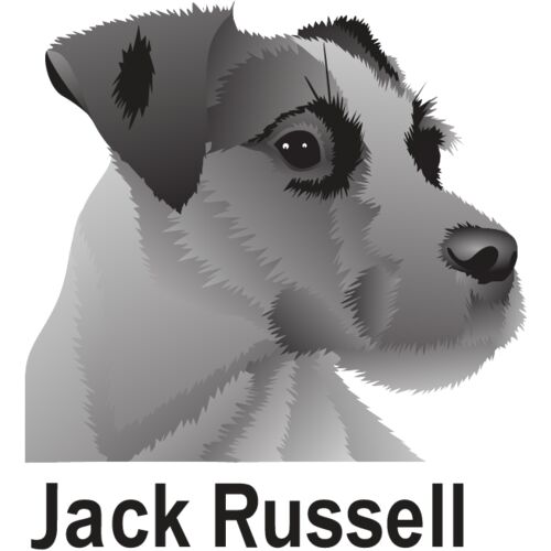 PG63680 Thumbnail