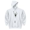 DryBlend ® Pullover Hooded Sweatshirt Thumbnail