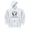 DryBlend ® Pullover Hooded Sweatshirt Thumbnail