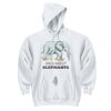 DryBlend ® Pullover Hooded Sweatshirt Thumbnail
