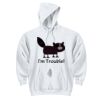 DryBlend ® Pullover Hooded Sweatshirt Thumbnail