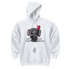 DryBlend ® Pullover Hooded Sweatshirt Thumbnail