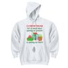 DryBlend ® Pullover Hooded Sweatshirt Thumbnail