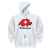 DryBlend ® Pullover Hooded Sweatshirt Thumbnail