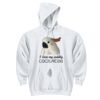 DryBlend ® Pullover Hooded Sweatshirt Thumbnail