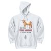 DryBlend ® Pullover Hooded Sweatshirt Thumbnail