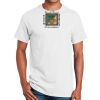 Ultra Cotton ® 100% Cotton T Shirt Thumbnail
