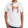 Ultra Cotton ® 100% Cotton T Shirt Thumbnail