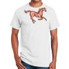Ultra Cotton ® 100% Cotton T Shirt Thumbnail