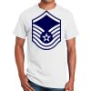 Ultra Cotton ® 100% Cotton T Shirt Thumbnail