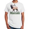 Ultra Cotton ® 100% Cotton T Shirt Thumbnail