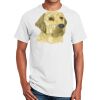 Ultra Cotton ® 100% Cotton T Shirt Thumbnail