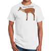 Ultra Cotton ® 100% Cotton T Shirt Thumbnail