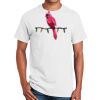 Ultra Cotton ® 100% Cotton T Shirt Thumbnail