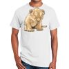 Ultra Cotton ® 100% Cotton T Shirt Thumbnail