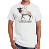 Ultra Cotton ® 100% Cotton T Shirt Thumbnail