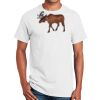 Ultra Cotton ® 100% Cotton T Shirt Thumbnail