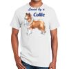 Ultra Cotton ® 100% Cotton T Shirt Thumbnail