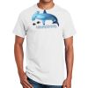 Ultra Cotton ® 100% Cotton T Shirt Thumbnail