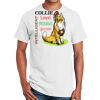Ultra Cotton ® 100% Cotton T Shirt Thumbnail
