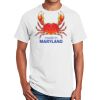Ultra Cotton ® 100% Cotton T Shirt Thumbnail