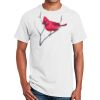 Ultra Cotton ® 100% Cotton T Shirt Thumbnail