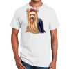 Ultra Cotton ® 100% Cotton T Shirt Thumbnail